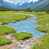Title: "Tranquil Meadow